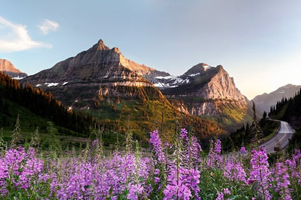 image of Montana in Summer